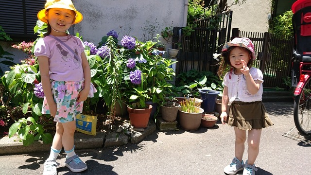 DSC_4517.JPG